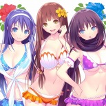 100ʾDLC̥꡼֤줿VALKYRIE DRIVE -BHIKKHUNI- Bikini Party Editionפ2017ǯ112ȯ