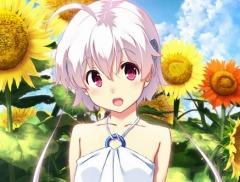 PS Vita�ǡ֤Ҥޤ��-Pebble in the Sky-����ξ������ꥨ����CV������ ���ˤʤ��о쥭��饯�������󤬸�����