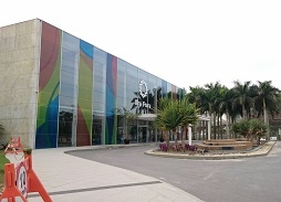 ���������꡼ No.001�Υ���ͥ������ / AC�ǡ֥ޥꥪ�����˥å� AT �ꥪ�����ԥå��פ��ꥪ���ؤ�����¼�����֤����