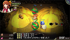 ���������꡼ No.017�Υ���ͥ������ / �֥��ᥬ��ӥ�󥹡פ�����NEW�˥���顦ŷǵ̴����CV������׻ҡˤ�ȯɽ���إѥ�ǥ����ƥ����Ȥ�Ǥ���ֹ������פʤɤξ����