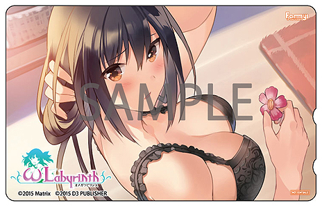 ���������꡼ No.006�Υ���ͥ������ / �֥��ᥬ��ӥ�󥹡פκǿ��ץ쥤�ࡼ�ӡ��֡���������á��ԡפ�������Ź����ŵ����2�ƾ����