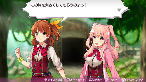 ���������꡼ No.007�Υ���ͥ������ / �֥��ᥬ��ӥ�󥹡פ����Τ�����ץ쥤��ݡ��ȡ��ȥ������饤��RPG�ɤ򤦤����ܺ�ϼºݤˤ��ʤ�������饤�����Ƥ�����ܤ��ä�