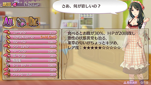 ���������꡼ No.009�Υ���ͥ������ / �֥��ᥬ��ӥ�󥹡פ����Τ�����ץ쥤��ݡ��ȡ��ȥ������饤��RPG�ɤ򤦤����ܺ�ϼºݤˤ��ʤ�������饤�����Ƥ�����ܤ��ä�