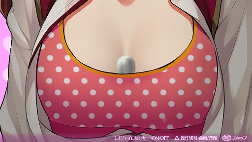 ���������꡼ No.060�Υ���ͥ������ / �֥��ᥬ��ӥ�󥹡פ����Τ�����ץ쥤��ݡ��ȡ��ȥ������饤��RPG�ɤ򤦤����ܺ�ϼºݤˤ��ʤ�������饤�����Ƥ�����ܤ��ä�