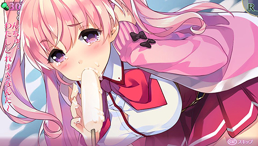 ���������꡼ No.065�Υ���ͥ������ / �֥��ᥬ��ӥ�󥹡פ����Τ�����ץ쥤��ݡ��ȡ��ȥ������饤��RPG�ɤ򤦤����ܺ�ϼºݤˤ��ʤ�������饤�����Ƥ�����ܤ��ä�