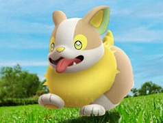 ֥ݥGOסѥо줹륲⥤٥Ȥ620000˳ϡ»Ƥ餫