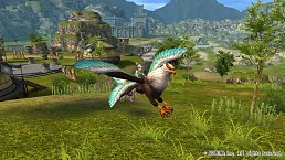 MMORPG֥ޥƥפAndroidü¥ƥȤȡ5050ĩ路褦