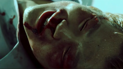 ���������꡼ No.022�Υ���ͥ������ / ���ꥸ�ʥ�¼̥ɥ�ޡ�ζ��ǡ�� ���λ����פϥ��������ͥ��11��30����������ۿ����������Ϥ�ƴ����������ã��ʪ�������