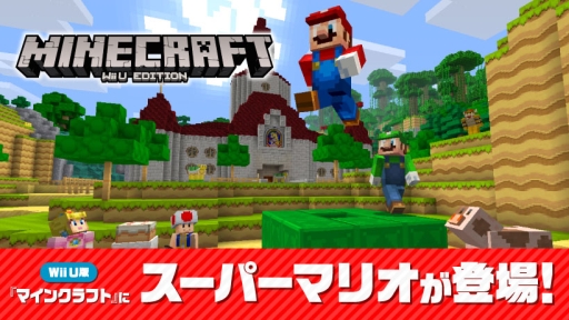 ���������꡼ No.002�Υ���ͥ������ / Wii U�ǡ�Minecraft�׸���ο�����ƥ�ĥѥå��֥����ѡ��ޥꥪ �ޥå��奢�åץѥå��פ�5��18��10��00��̵�����ۿ�