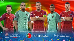 UEFA EURO 2016 / ˥󥰥֥ 2016פȯ䡣6˳ŤUEFA EURO 2016ɤ­˳ڤ