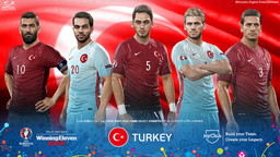 UEFA EURO 2016 / ˥󥰥֥ 2016פȯ䡣6˳ŤUEFA EURO 2016ɤ­˳ڤ