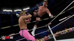 PCǡWWE 2K16פƱ311ۿSteamͽդ