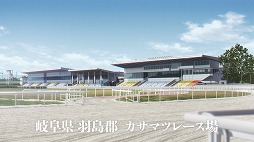 ꡼ No.003Υͥ /  ˥ᡤ褦235CygamesPicturesΡ֥̼ ǥ饰쥤סʪȥꥭåסɤԥ󥪥պ