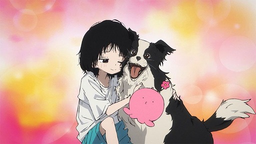 ꡼ No.004Υͥ /  ˥ᡤ褦237ϥ5ḶΡ֥ԡθסå󥰤ŸΡȰͤʪ