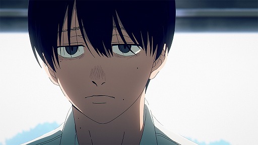 ꡼ No.003Υͥ /  ˥ᡤ褦241CygamesPicturesΡָơסΡȥʥ˥ɤƤͧᤰĽեۥ顼