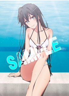 ���������꡼ No.002�Υ���ͥ������ / �ֲ�������פΥ��ɥ٥���㡼��������2�� PS Vita�֤�Ϥꥲ����ǤⲶ���Ľե�֥���Ϥޤ����äƤ��롣³�פ�ȯ������7��28���˷���