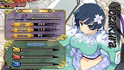 SENRAN KAGURA SHINOVI VERSUS