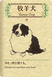 ���������꡼ No.011�Υ���ͥ������ / �ҤĤ������䤷�ƤޤȤ�ƽ���Ƥ��������ޥ۸���1���ѥ����ɥ�����֥����ե���Shephy���פ������ۿ����ϡ�����Υ��åץǡ��Ⱦ�������