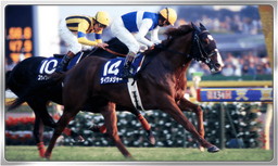 Winning Post ꥪסåץǡȤǥ饤󽷤βʤɤ»