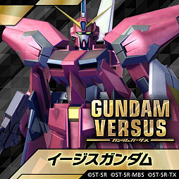 GUNDAM VERSUSסȥࡦʥѡIIWD͡ˤۿ