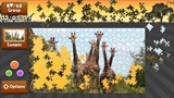 Wild Animals - Animated Jigsaws