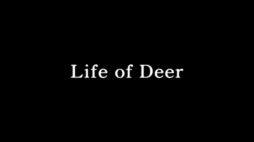 ӡġĤǤϤʤȤƼȴߥ졼󥲡Life Of DeerפҲ𤹤֡ʤۤܡޥۥ̿1274