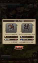 BRAVELY DEFAULT FAIRY'S EFFECTץץ쥤ݡȡҼʤΤ˱֥쥤֥եȥХȥ䡤ïȤǤⶦƮǤMMOθ