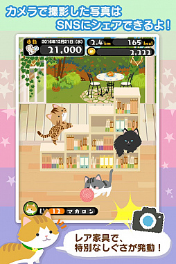 ���������꡼ No.007�Υ���ͥ������ / �⤯�����ǥͥ�����ĥ����ॢ�ץ�֤ˤ����ספλ�����Ͽ���դ���������