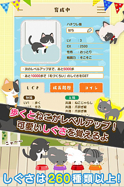 ���������꡼ No.002�Υ���ͥ������ / �֤ˤ����סס������С����Զ��������ƥ����ӥ��Ƴ����桼�����ؤ���Ŷ�Ȥ��ƺ���10�������������