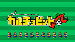 ���������꡼ No.026�Υ���ͥ������ / ���ޥ۸����˺�Ŭ�����줿�������ӥåȤο�����å�������ְ������ߥ�졼�����֥������ӥå�A�פ�1��12�����ۿ�����