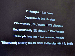 ���������꡼ No.015�Υ���ͥ������ / ���ä�2�ͤǺ�ä��������Chameleon Run�פ�Apple Design Award����ޤǡ������ơ���äƤ���