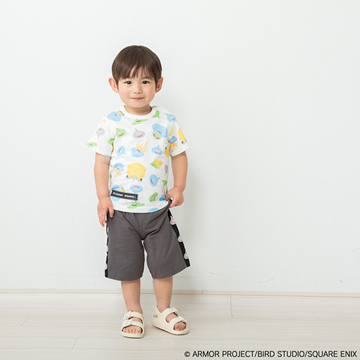 ���������꡼ No.003�Υ���ͥ������ / �֥ɥ饯���٥ӡ������å��פ��顤���襤�餷�����饤��Υ���ѡ��������о졣�ե��åȥ������ȾµT����Ĥʤɤο����ʤ������