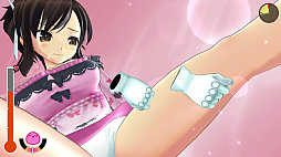  No.003Υͥ / ֥Υӥե -SENRAN KAGURA-ס饯ʤɤδָꥻ뤬