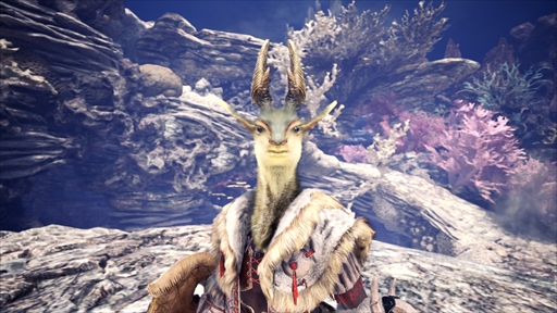 MHW: ICEBORNEפκǿޤȤ᤿֥ǥ٥åѡ꡼פ6Ƥˡ79ۿ륢åץǡȾҲ