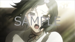 STEINS;GATE ELITEפνŵȯɽSwitchǤեߥADV֥奿סPS4ǤVitaǤեHDǡ֥եΥפ˷