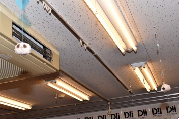 ���������꡼ No.010�Υ���ͥ������ / ���塼�Ȥ��������������������饹�Ȥ����ޤ�ʤ��������˥ᥤ�ȥ��ե�����åסߡ�DREAM!ing�פˤ�륳��ܥ��ե����ݡ���