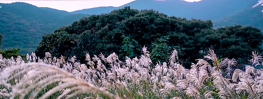 ���������꡼ No.015�Υ���ͥ������ / �������ͤ��襤�򥲡���ˡ�����Ghost of Tsushima�פγ�ȯ�����åդˤ��ѥͥ�ǥ������å������ݡ���