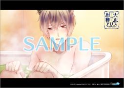 ���������꡼ No.011�Υ���ͥ������ / ���������оΥ��ꥹ HEADS��TAILS�פΥѥå������ǽ������ʬ��ŵ��Ź����ŵ������