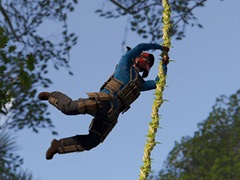 RustסХȥ󥰥ɤɲä緿åץǡȤ»ܡظ夫ǦӴȥǤο᤭ʤɡ¿οǤо