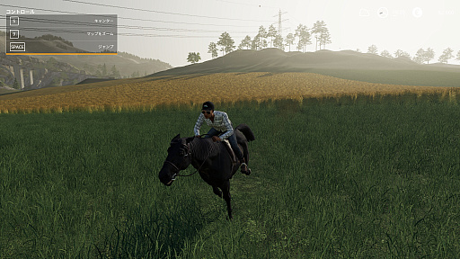 Farming Simulator 19ץץ쥤ݡȡˡƼ֤ݤڤǤߤ褦