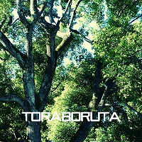 ���������꡼ No.019�Υ���ͥ������ / �֥��󥲡����ץ�󥻥��פκ��󥷥��ƥब��������ͥ���Τ��ܥ���P�ˤ�륪�ꥸ�ʥ�ڶʤ��ɲ�ȯɽ��