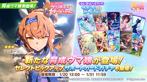 ���������꡼ No.001�Υ���ͥ������ / �֥���̼ �ץ�ƥ��������ӡ��ס�����������̼����3�եꥪ����������������������°�Τޤ�����Ϥ��Ϥ�礤��������GI��6�������������Ϥ���