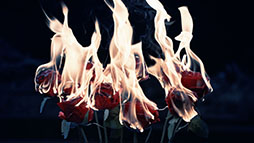 ���������꡼ No.010�Υ���ͥ������ / �֥���̼�ס�����80Ϣ������̵����ޤ��Gray Week�����ڡ���פ򳫻ϡ����˥�֤��ޤ�� �פ�Ƥ������줤�פ��ۿ��⥹������