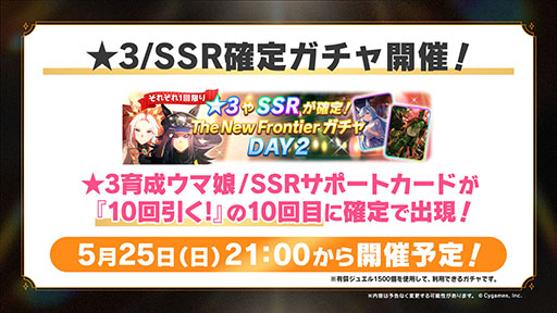 ���������꡼ No.004�Υ���ͥ������ / �֥���̼�ס�������̼�֥��ƥ�������ɡס�CV��������ˤ�ȯɽ�����������ʥꥪ��̵����ؤ褦���� -DESIGN YOUR ISLAND-�פ�6��ܤ��ɲ�