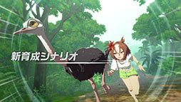 ���������꡼ No.005�Υ���ͥ������ / �֥���̼�ס����������ʥꥪ��̵����ؤ褦���� -DESIGN YOUR ISLAND-�פ�������꡼������᡼�뤵��̵�����ɺ�夹�뿷CM�������