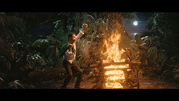 ���������꡼ No.008�Υ���ͥ������ / �֥���̼�ס����������ʥꥪ��̵����ؤ褦���� -DESIGN YOUR ISLAND-�פ�������꡼������᡼�뤵��̵�����ɺ�夹�뿷CM�������