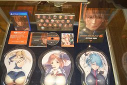 DOA6פο3̾䡤DOAX3 Scarletפȯɽ줿ե󴶼ե٥ȡDEAD OR ALIVE FESTIVAL 2018ץݡȡȡʥȤ䥳ץ