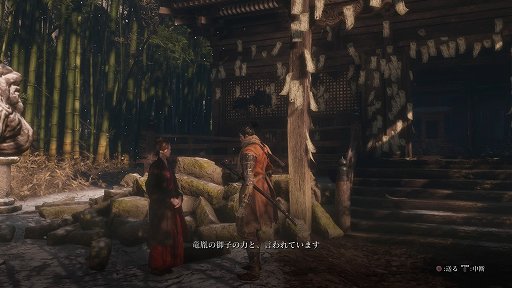  No.003Υͥ / SEKIRO: SHADOWS DIE TWICEץӥ塼ϤȿϤ㤷֤Ĥ礦ĥãΰƮƥबǹ