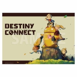 ֥ԥꡦӥפȡDESTINY CONNECTפοåȯ䳫