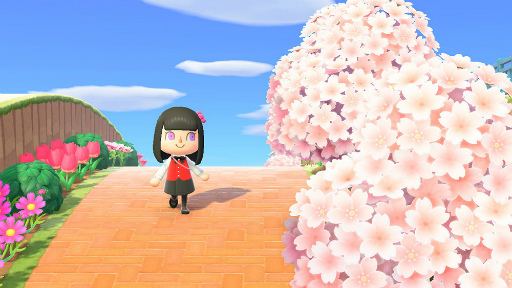 ���������꡼ No.006�Υ���ͥ������ / �֤��Ĥޤ� �ɤ��֤Ĥο��ס�AI�����餵����餹�Ȥ���������ɤ�1��ǯ�緿���åץǡ��Ȥ�»�